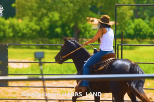 O Arasland é um modelo de equinocultura como negócio estruturado no Nordeste do Brasil