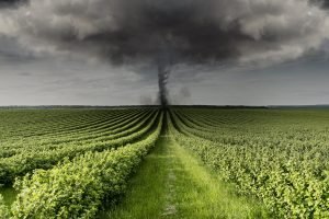 Furacão Milton causa danos às plantações e deixa milhões sem eletricidade nos Estados Unidos.