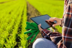 young female farmer with a tablet in her hands examines the green field. Modern technologies in agriculture management and agribusiness concept